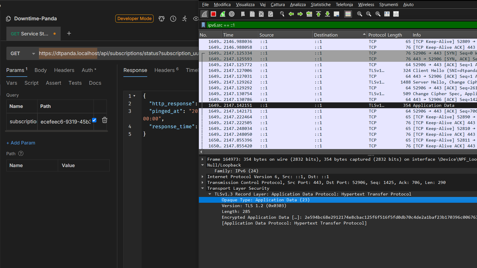 Cattura di pacchetti dell'API in HTTPS, usando Wireshark